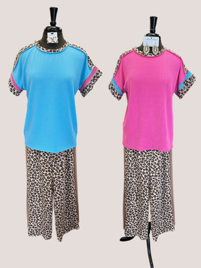 Safari Top