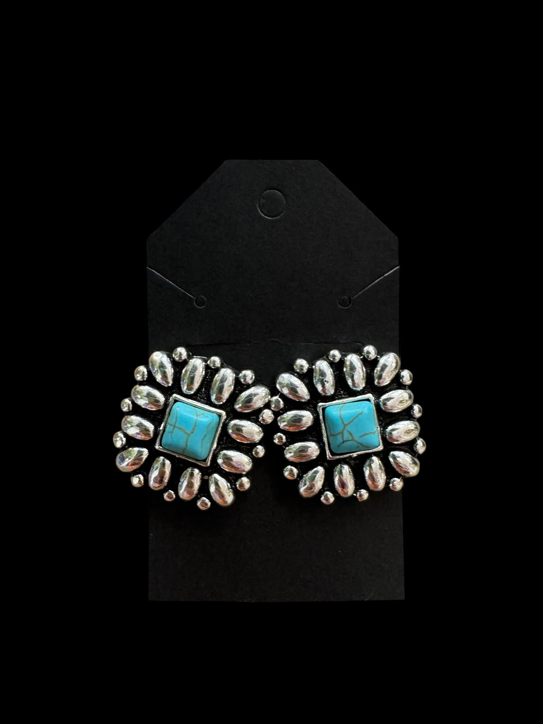 Silver Studs