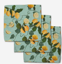 Load image into Gallery viewer, Geometry Dishcloth Set